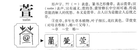 萱的五行|【萱 五行】揭秘「萱」字的五行屬性，解讀你的名字奧秘